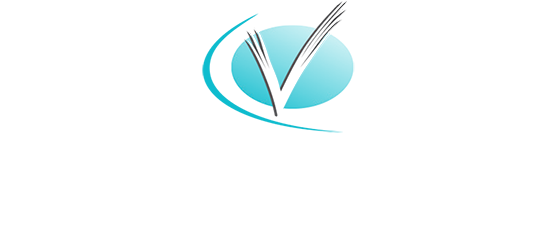 Visioneering Consulting Logo